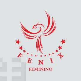 Fenix esporte clube
